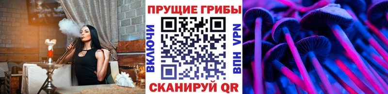 Галлюциногенные грибы MAGIC MUSHROOMS  наркотики  Владикавказ 